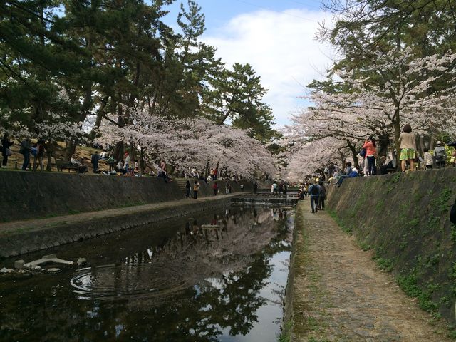 �͐�ɑ�����_�g��͐�~�Βn�i�g������j