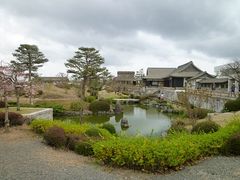 鶴亀松竹梅扇さんのふじのくに茶の都ミュージアムの投稿写真3