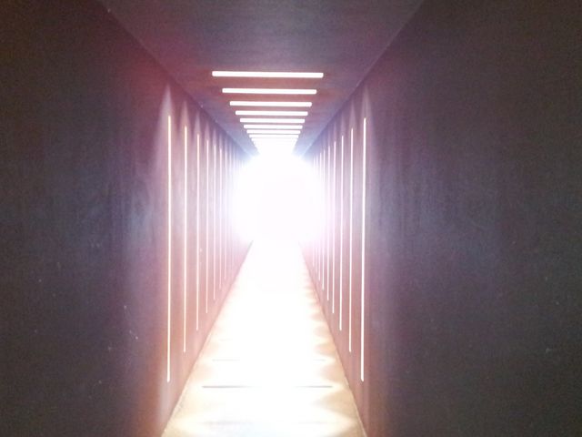 ���O�̍�i�̎ʐ^�ł�_�������������A�[�g�̐X