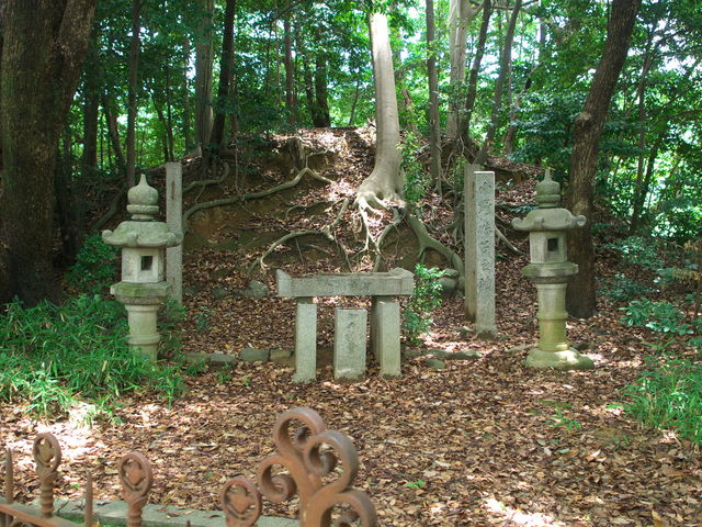 sklfh̏얅q̓̕eʐ^1