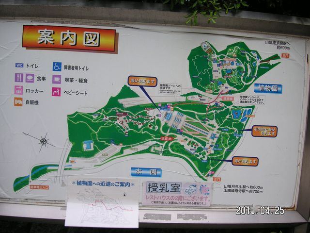 �����T�C��_�{��