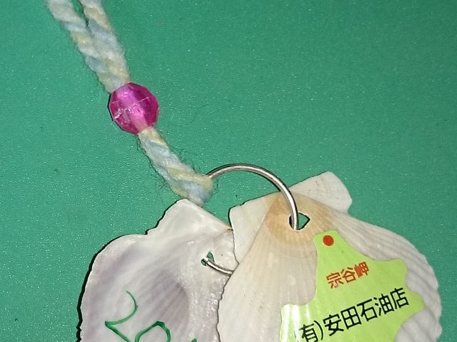 �L�O�L�k_�@�J��