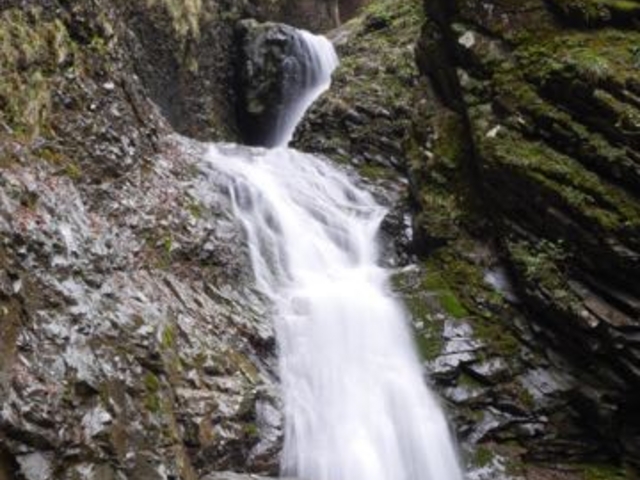 �����̑�