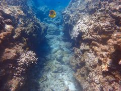 [񂳂̃}[v_Ngւ̓eʐ^1