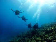 DIVE LIFE OKINAWAւ̓eʐ^1