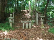 sklfh̏얅q̓̕eʐ^1