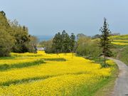 Ԃ̒@i啪L㍂csj̓eʐ^2