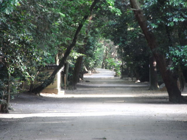 �L���_��