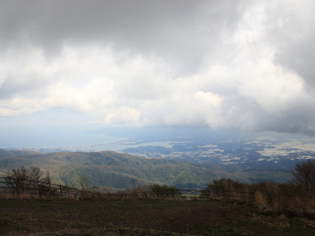 �_���c_�卲�n�X�J�C���C��