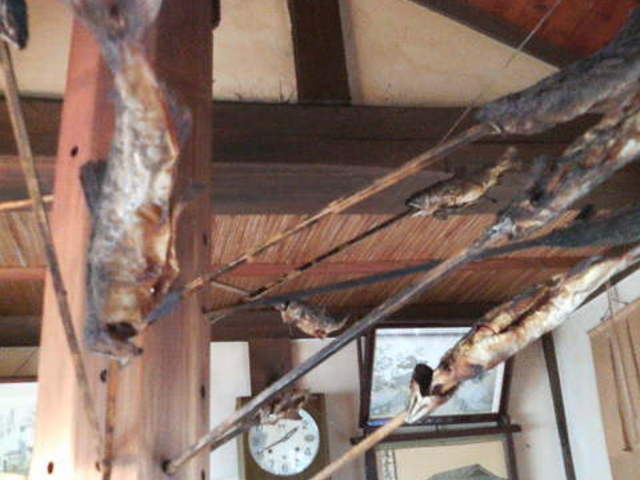 ���̖͐̂��Ƃ̂悤�ł��B_���C���ǂ܂񒆒���