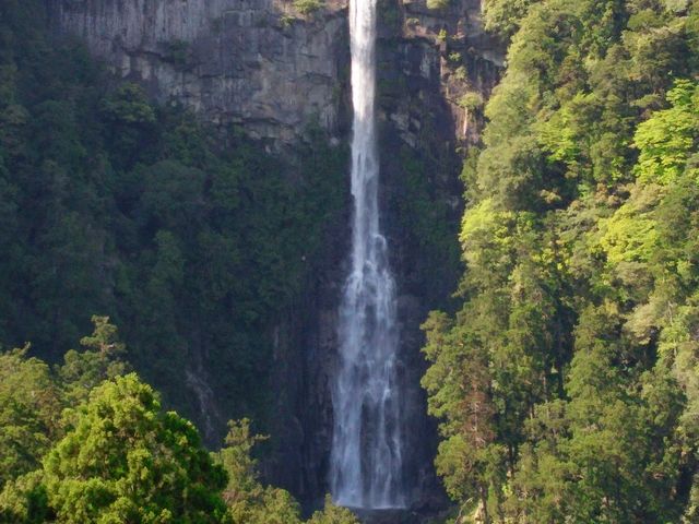 �F��ߒq���