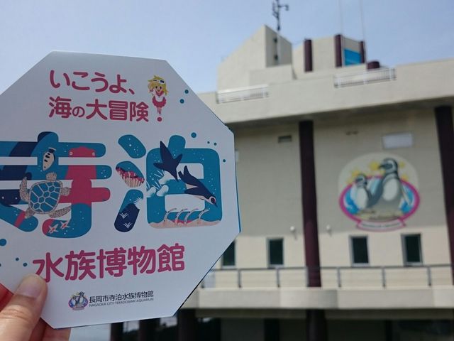 寺泊水族博物館 天気が良いと入口の所に亀がいます。
入る前から楽しめます。
_寺泊水族博物館