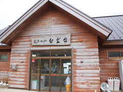 hal����̑卲�n�X�J�C���C���ւ̓��e�ʐ^1