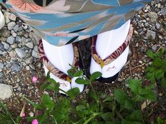 WW񂳂̉C򍇏̌ւ̓eʐ^2