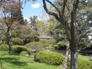 qs̎R_Ёiĉ܂݂̂܁j̓eʐ^5