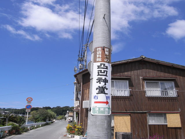 sklfh̓ʉ_i_Ёj̓eʐ^1