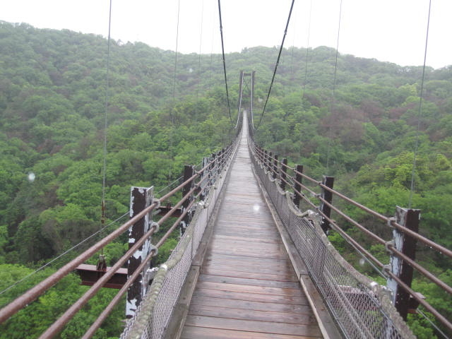 {̐XmǁEقEނ낢EȂ邩EEʂÊ݂݁E͂Eق育nn