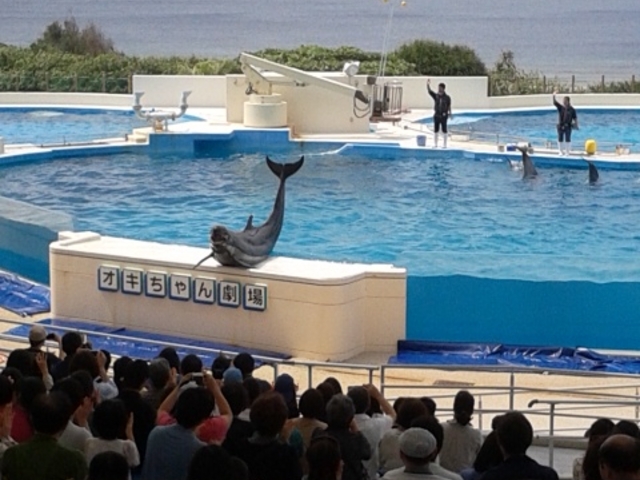 �u�I�L����񌀏�v�ł̓C���J�����̋����̃p�t�H�[�}���X�������ł��܂�_������ЃZ�����A���u���[