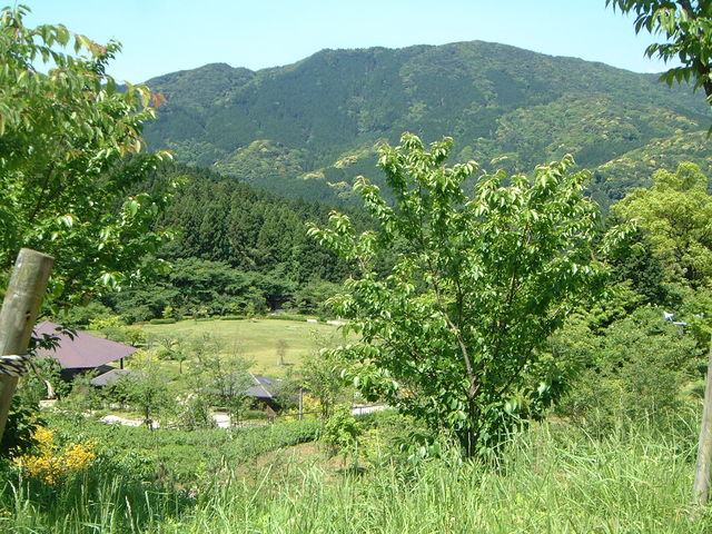 Ԃ񂳂̃O[sAȂXLbvL̓eʐ^1