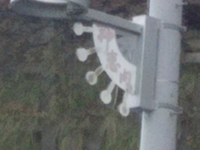 �X��_���̉w �I�X�R�C�I�������Ȃ�