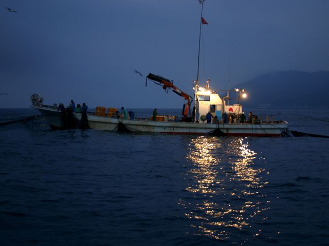 ���Â������d�����n�߂�_������d��