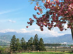 ̐ꉷ@Ԃ̌򓒏h@Iւ̓eʐ^1