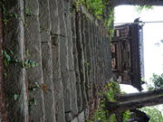 JY{[̍⋕󑠑i莛j̓eʐ^2