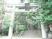 ���܂�����̓��\�_�Ђ̓��e�ʐ^1