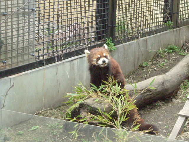 ���b�T�[�p���__���R������