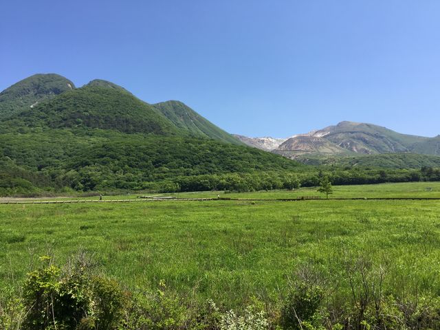 �^�f������_���Ҍ��r�W�^�[�Z���^�[