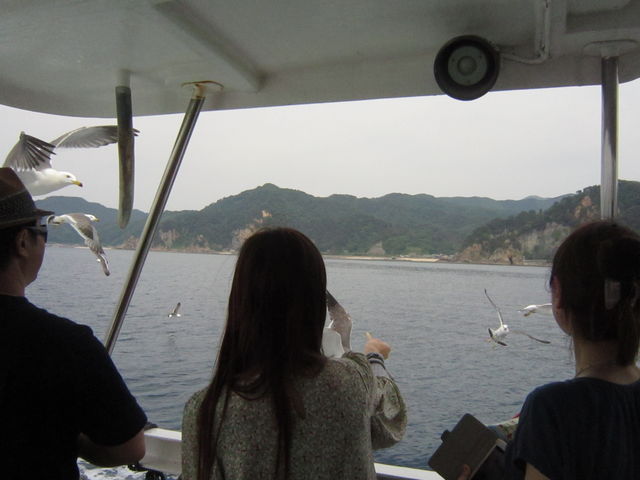 �f�b�L�X�y�[�X_���여��V���D