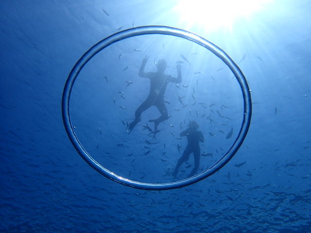 ���C�ɓ���̈ꖇ�ł�_B-nature