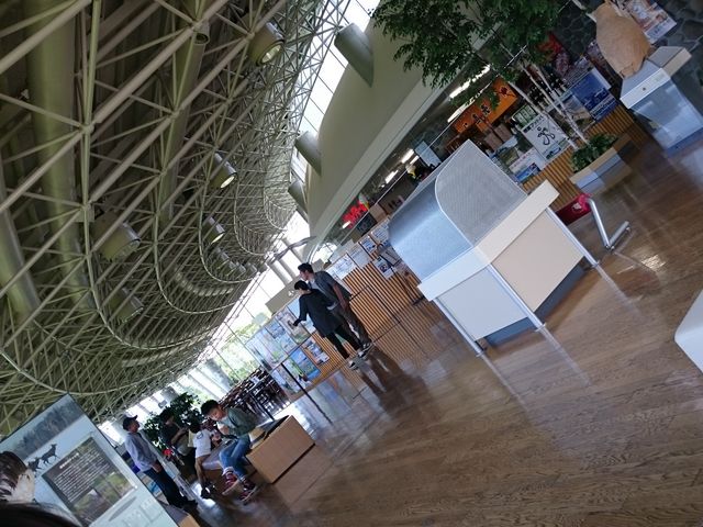 ���邢����_���̉w �X�����S�S�˂ނ�