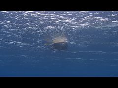 TeBaquastyleւ̓eʐ^2