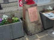 Ђ낿񂳂̌Ԃ@g~[N̓eʐ^1