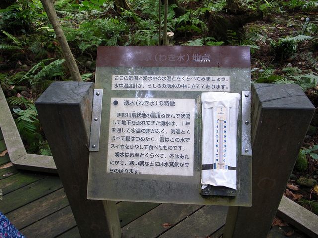 2008.8.4 3:30PM
̑XM̐X_̑XM