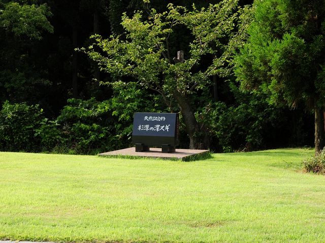 2008.8.4 3:30PM
̑XM̐X_̑XM