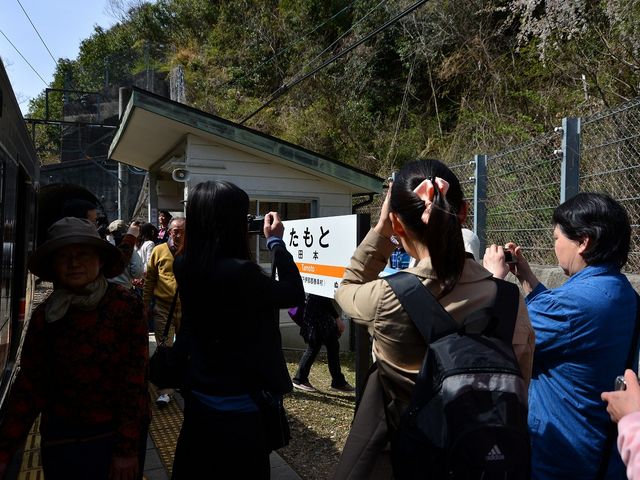 2013.4.11 14:00
�ѓc���鋫�w�c�A�[_�c�{�w�iJR�ѓc���j