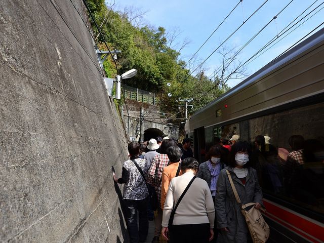 2013.4.11 14:00
�ѓc���鋫�w�c�A�[_�c�{�w�iJR�ѓc���j