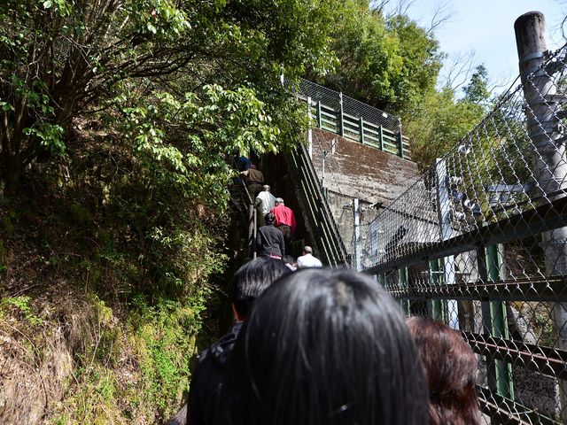 2013.4.11 14:00
�ѓc���鋫�w�c�A�[_�c�{�w�iJR�ѓc���j