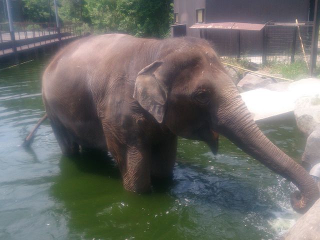 тԋ߂ɑ̌
͂_ߐ{[hL[p[N