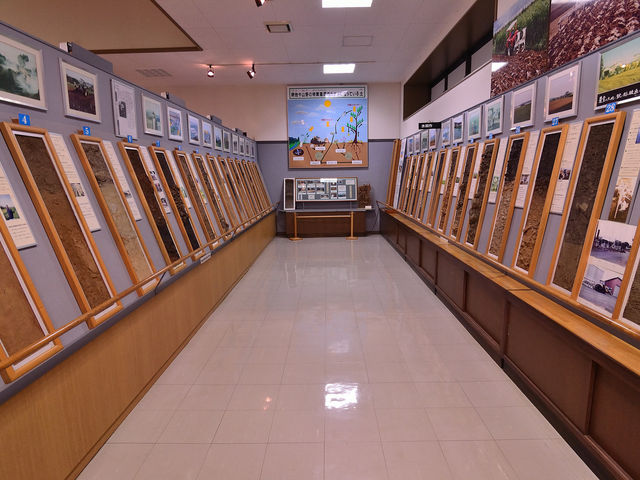 �y�̊�_�y�̊�