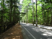 hak̎O}ʂ̃J}c؂̓eʐ^1