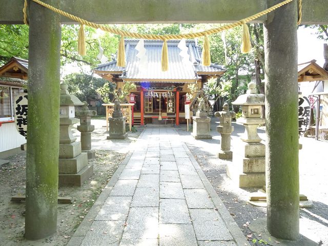 QUNɎГaCꂽŁA^V؍ނƁAȑO̖؍ނZĂƂĂYłB__