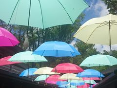 Happy̌y򐯖GA@njeXւ̓eʐ^1