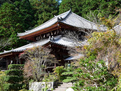 �䂸���҂���̍O�m���ւ̓��e�ʐ^1