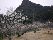 sklfȟDPu~т̓eʐ^1