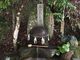 シトラさんの玉作湯神社の投稿写真1