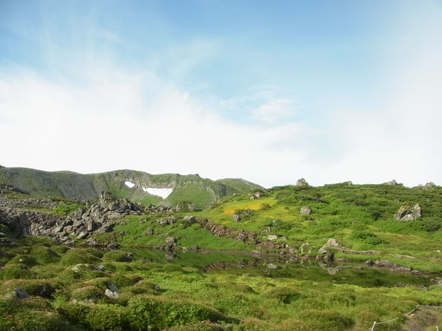 ���{�뉀�t�߁B_�g�����E�V�R