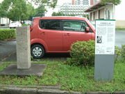 Ԃ񂳂̒ː߉̔̓eʐ^1